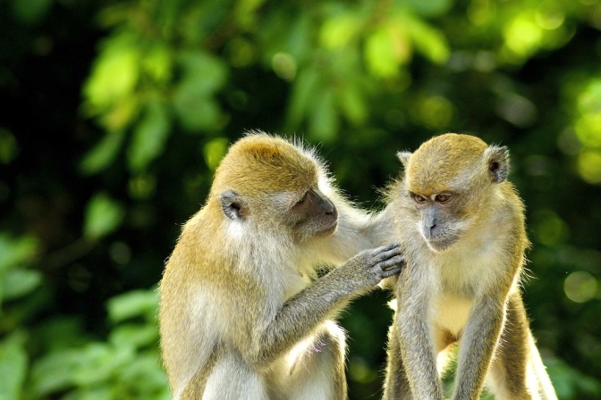 Thailand New Year celebration packages