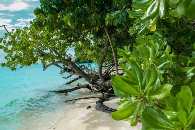 holiday packages Thailand 2025
