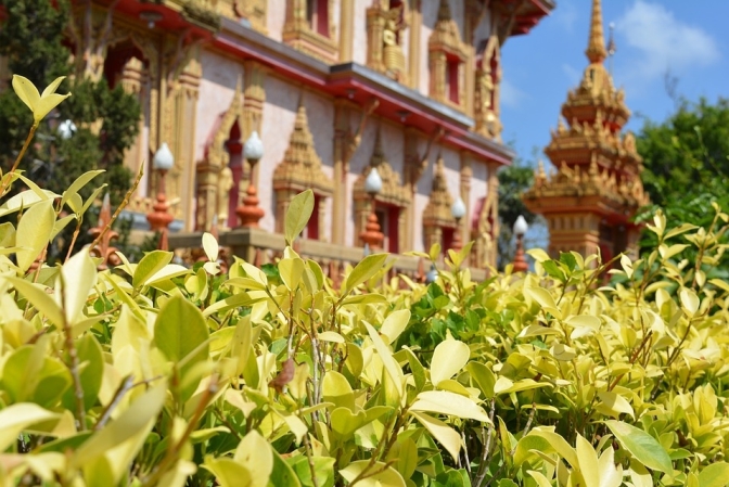 Songkran festival tours Thailand